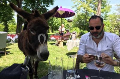 Miniature Location salle Tonnerre (Yonne) - L'abbaye Saint Michel #24 Location salle Tonnerre (Yonne) - L'abbaye Saint Michel #24