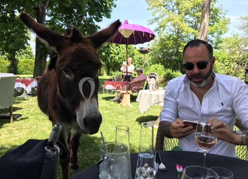 Location salle Tonnerre (Yonne) - L'abbaye Saint Michel #24