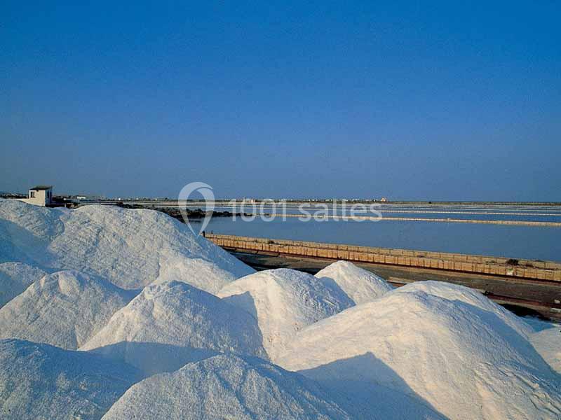 Location salle Gruissan (Aude) - Stelsia Casino Gruissan #22