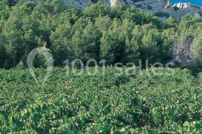 Location salle Gruissan (Aude) - Stelsia Casino Gruissan #22