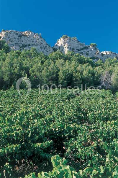 Location salle Gruissan (Aude) - Stelsia Casino Gruissan #18