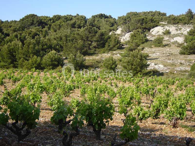 Location salle Gruissan (Aude) - Stelsia Casino Gruissan #20