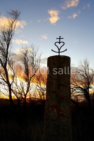 Manade Mailhan Mas Des Bernacles - galerie - photo 3