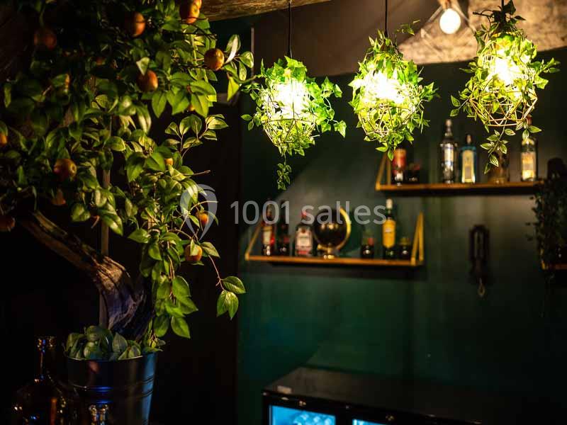Plantes suspendues éclairées au-dessus d'un bar avec étagères contenant des bouteilles et un globe terrestre.