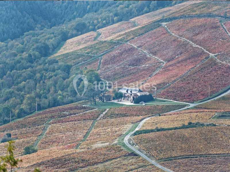 Location salle Odenas (Rhône) - L'ermitage de Brouilly #3