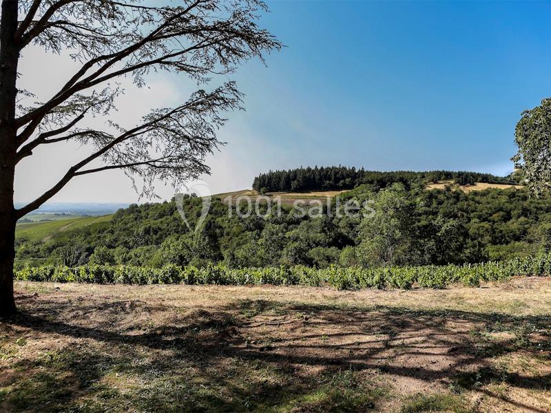 Location salle Odenas (Rhône) - L'ermitage de Brouilly #18