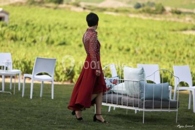 Location salle Odenas (Rhône) - L'ermitage de Brouilly #30