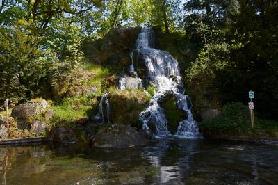 Miniature Vue de la terrasse Cascade naturelle entourée de végétation, se déversant dans un bassin calme sous une lumière ensoleillée.