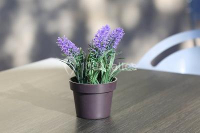 Miniature Location salle Marseille 2 (Bouches-du-Rhône) - Résidence Aixoise #10 Location salle Marseille 2 (Bouches-du-Rhône) - Résidence Aixoise #13