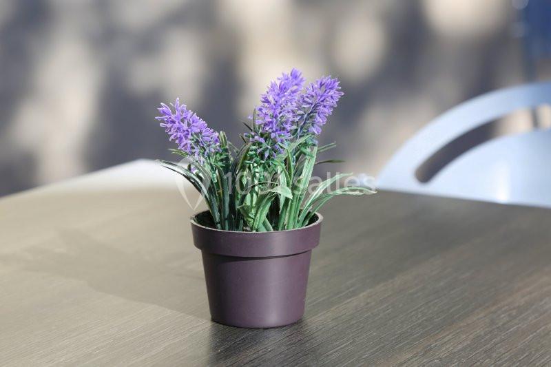 Location salle Marseille 2 (Bouches-du-Rhône) - Résidence Aixoise #10 Location salle Marseille 2 (Bouches-du-Rhône) - Résidence Aixoise #10