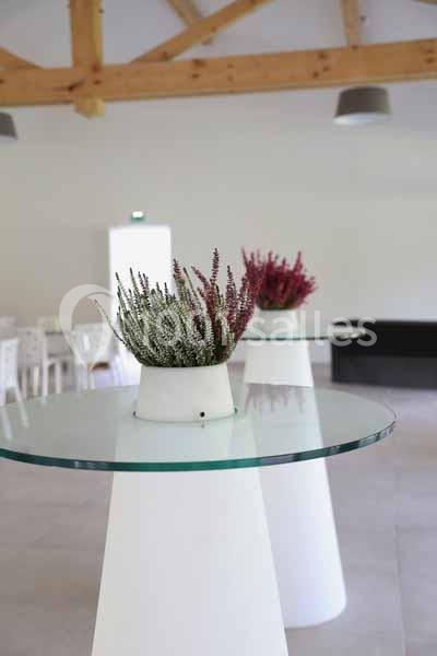 Les Lauriers de la Bastide - galerie - photo 6