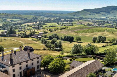 Château Du Souzy - photo 3