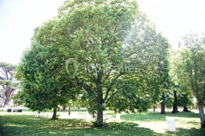 Location salle Lagord (Charente-Maritime) - Hôtel & Spa Du Château #16