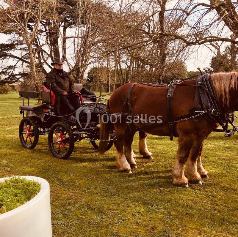 Location salle Lagord (Charente-Maritime) - Hôtel & Spa Du Château #5