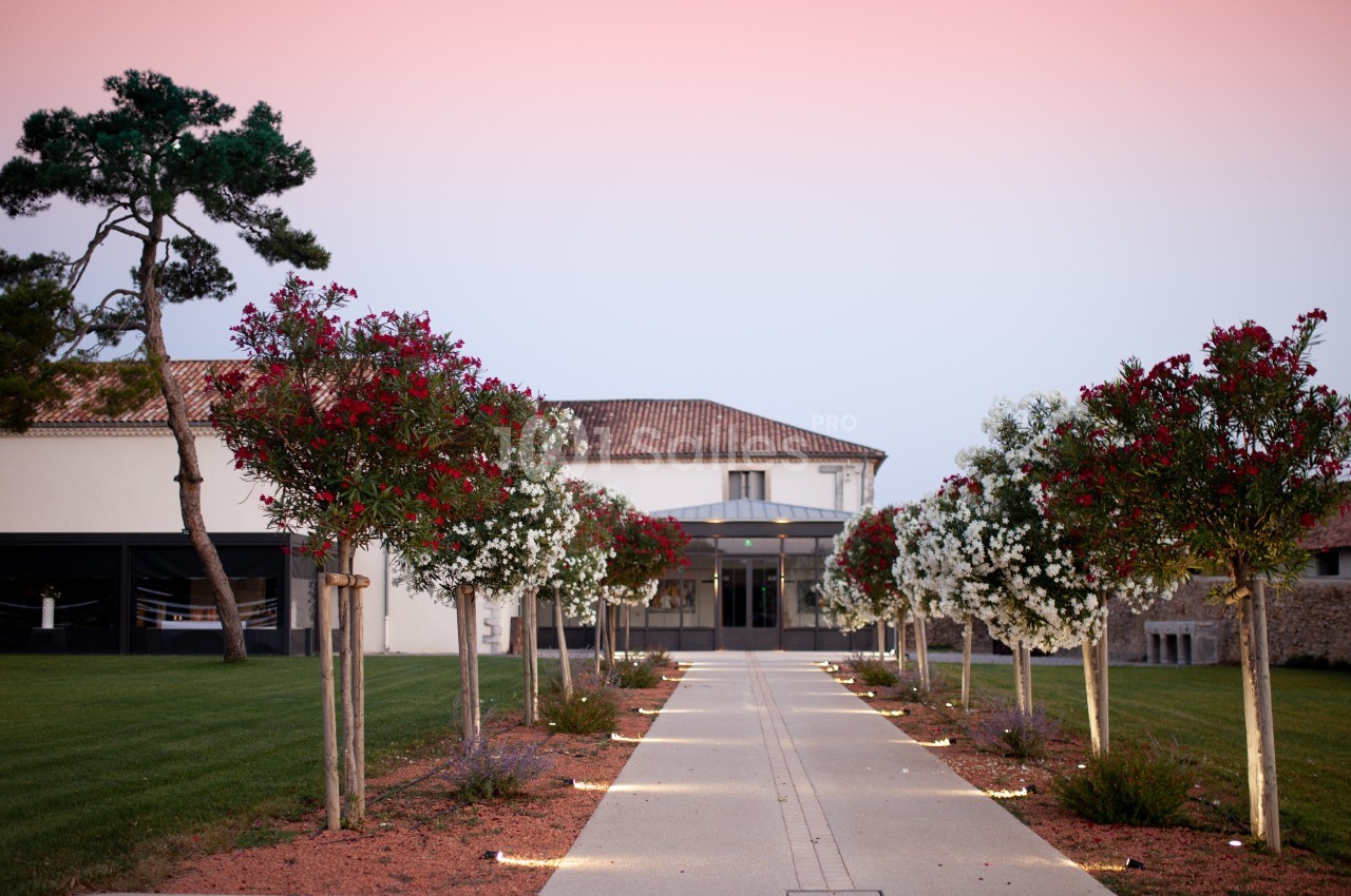 Allée bordée d'arbres fleuris menant à un bâtiment avec toit en tuiles sous un ciel rose au crépuscule.