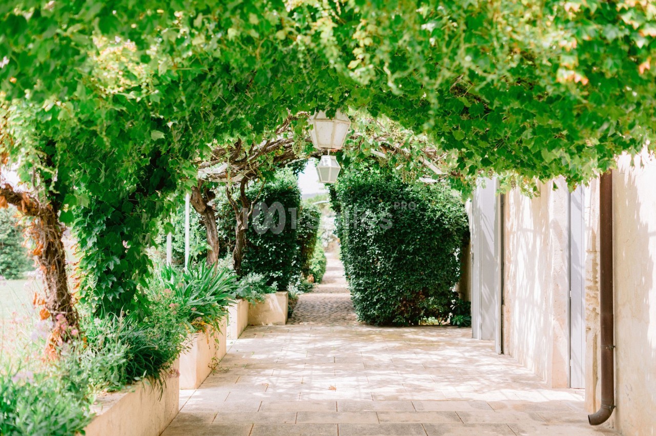 Allée pavée bordée de verdure avec des lampes suspendues et une pergola couverte de feuillage.