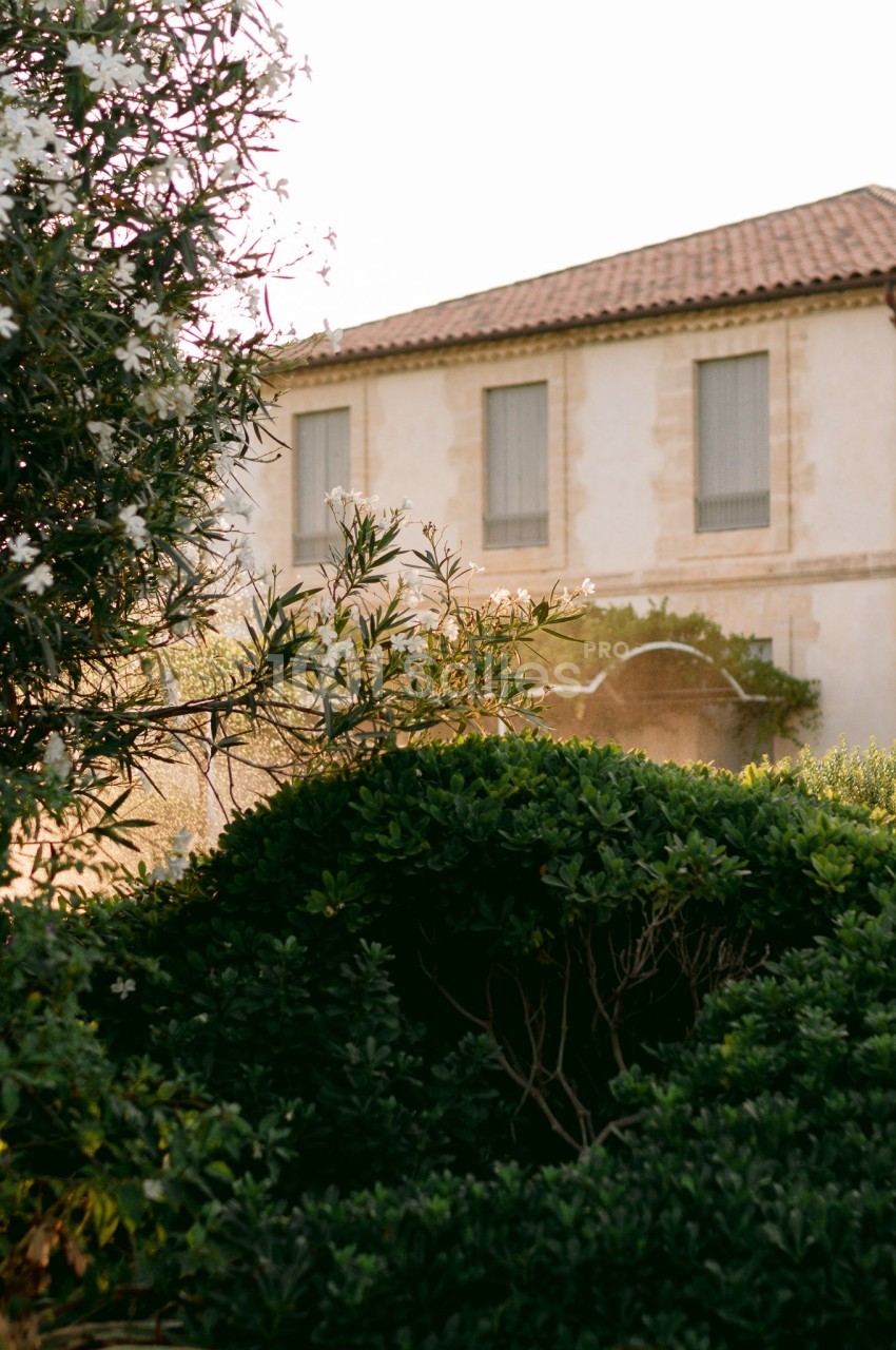 Façade d'une maison en pierre avec toit en tuiles, entourée de végétation dense sous une lumière douce.