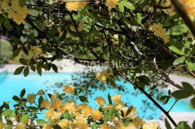 Miniature Location salle Maubec (Vaucluse) - Domaine de la Bastide du Bois Breant #12 Location salle Maubec (Vaucluse) - Domaine de la Bastide du Bois Breant #70