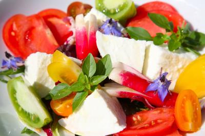 Miniature Location salle Maubec (Vaucluse) - Domaine de la Bastide du Bois Breant #41 Location salle Maubec (Vaucluse) - Domaine de la Bastide du Bois Breant #70