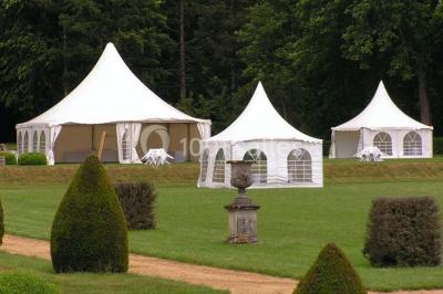 Château de la Pierre - photo 4