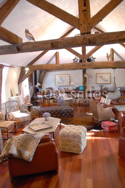 Location salle Louveciennes (Yvelines) - Campus BNP Paribas Louveciennes #13 Salon chaleureux avec poutres apparentes, mobilier en cuir et bois, bibliothèque et décoration éclectique.