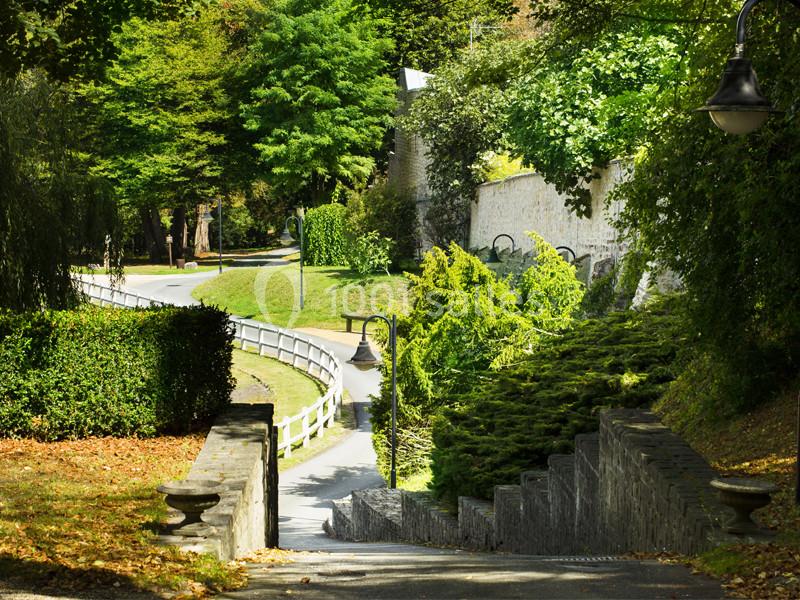 Location salle Louveciennes (Yvelines) - Campus BNP Paribas Louveciennes #12 Escalier en pierre descendant vers une allée bordée d'arbres et de verdure dans un parc lumineux.