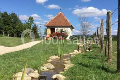 Domaine du Moulin de Jeanne - photo 4