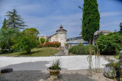 Domaine Les Gaillardoux - photo 5