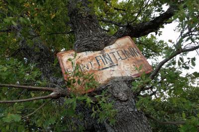 Miniature Bienvenue au Domaine Saint-Antonin, depuis 1633 ! Vue aérienne du Domaine - Évènement