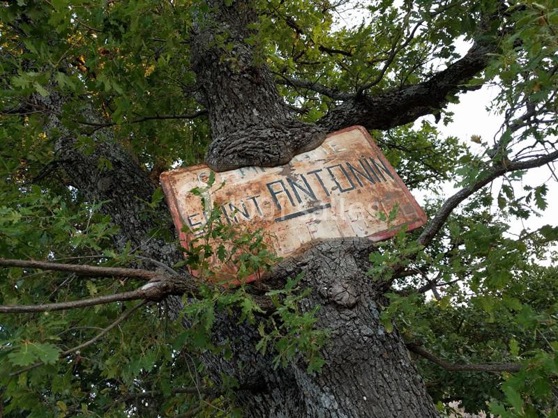 Bienvenue au Domaine Saint-Antonin, depuis 1633 ! Bienvenue au Domaine Saint-Antonin, depuis 1633 !