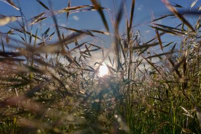 Miniature Calme et repos au Domaine Saint-Antonin - 2018 Vue aérienne du Domaine - Évènement