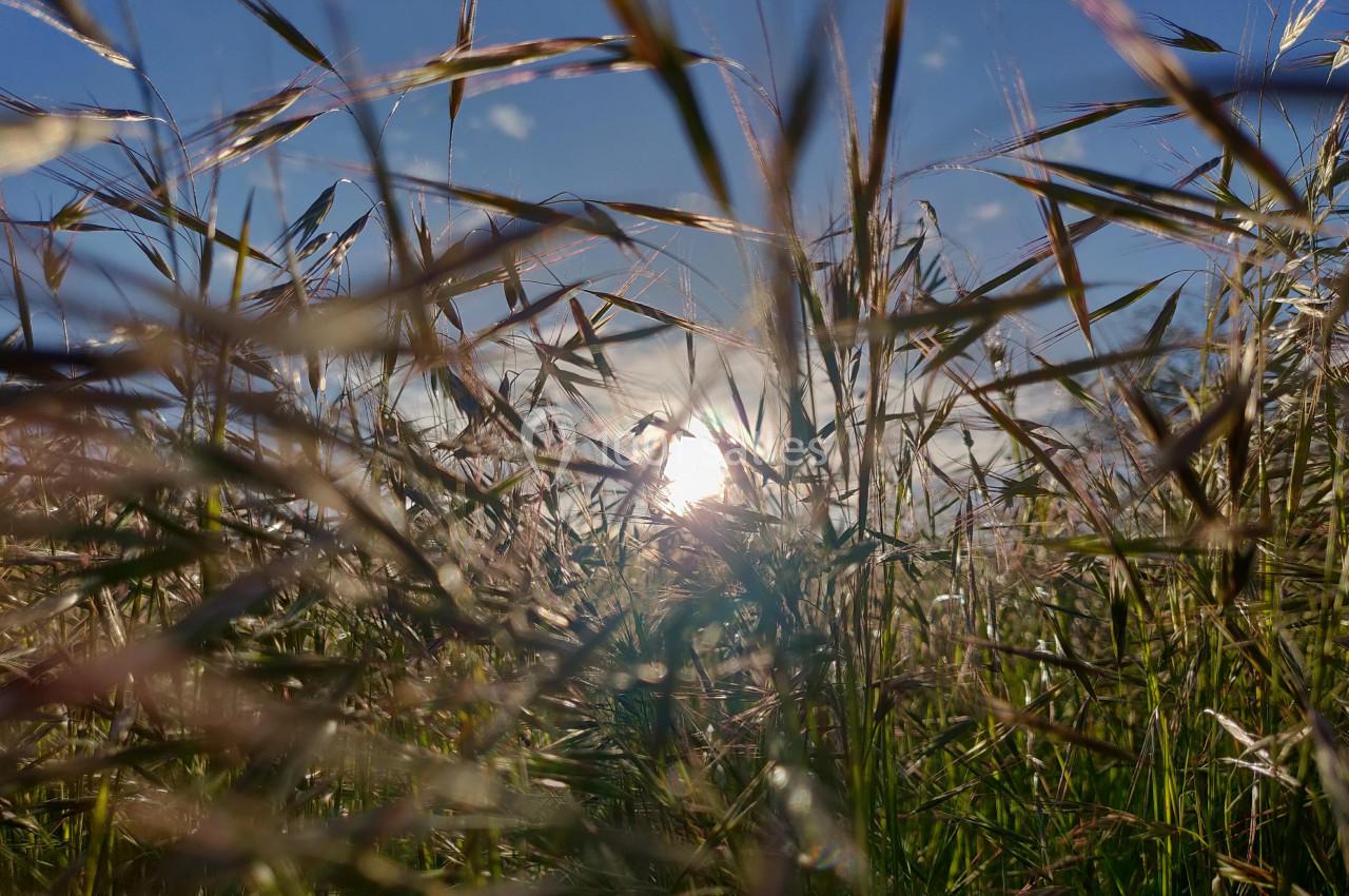 Calme et repos au Domaine Saint-Antonin - 2018 Calme et repos au Domaine Saint-Antonin - 2018