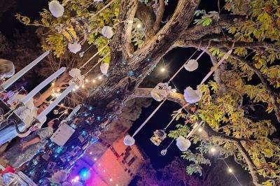 Miniature Mariage - 2022 Vue aérienne du Domaine - Évènement