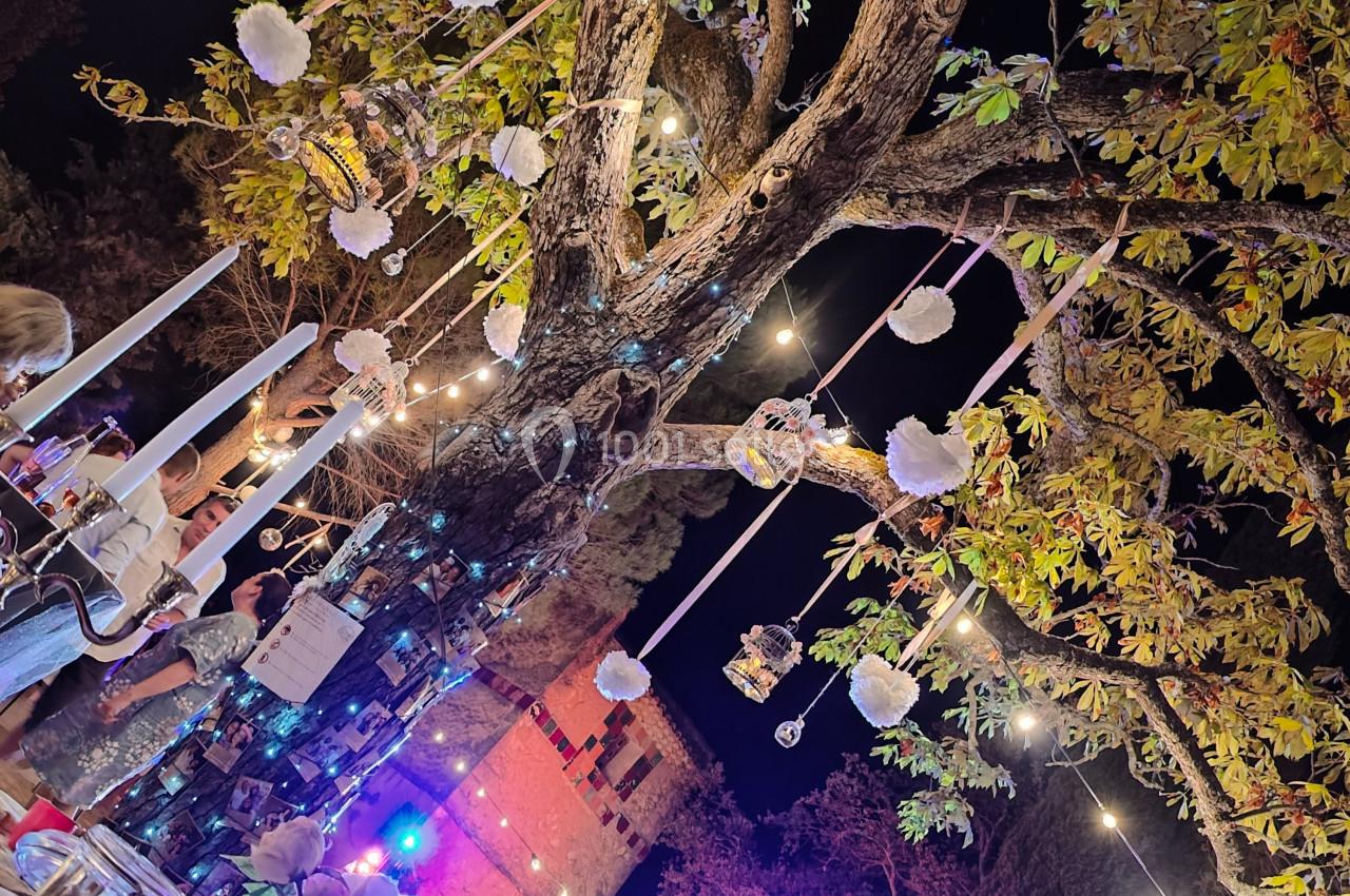 Mariage - 2022 Mariage - 2022