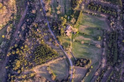 Miniature Vue aérienne du Domaine - 2020 Vue aérienne du Domaine - Évènement