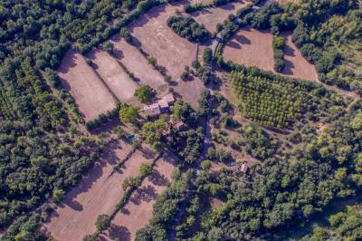 Miniature Vue aérienne du Domaine - 2020 Vue aérienne du Domaine - Évènement