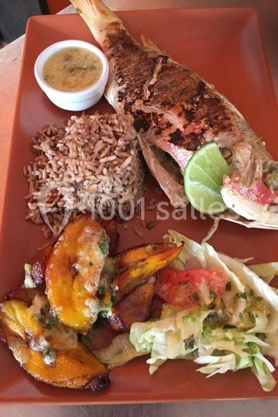 Location salle Saint-Louis (Guadeloupe) - Eden Voile 