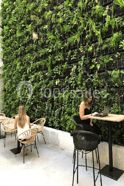 Mur végétal avec plantes vertes en arrière-plan, deux femmes assises, l'une travaillant sur un ordinateur portable.