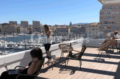 Mur végétal avec plantes vertes en arrière-plan, deux femmes assises, l'une travaillant sur un ordinateur portable.
