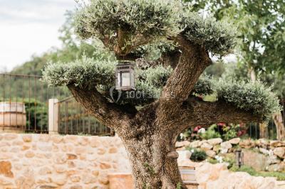 Miniature Location salle Colombier-le-Jeune (Ardèche) - Le Mas Girodier #12 Location salle Colombier-le-Jeune (Ardèche) - Le Mas Girodier #27