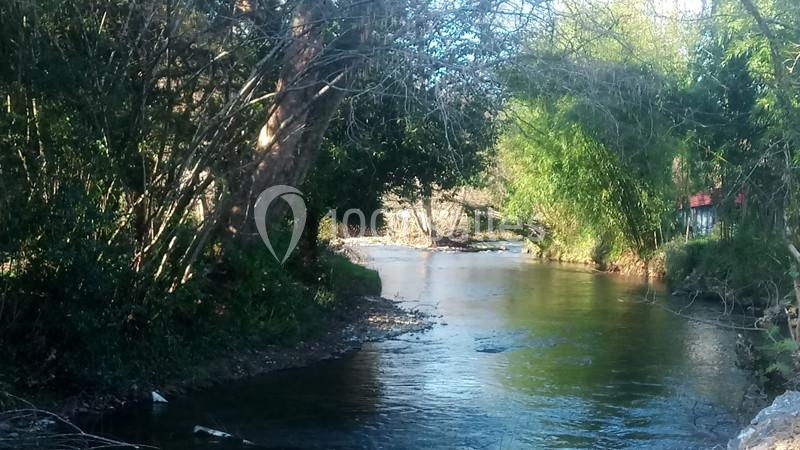 Domaine Le Vieux Moulin - galerie - photo 15