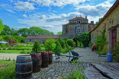 Miniature Location salle Cezais (Vendée) - Château de la Cressonnière #20 Un homme debout, bras ouverts, s'exprime devant un mur en pierre, avec une chaise en bois à côté de lui.