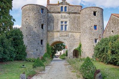 Miniature Location salle Cezais (Vendée) - Château de la Cressonnière #26 Un homme debout, bras ouverts, s'exprime devant un mur en pierre, avec une chaise en bois à côté de lui.