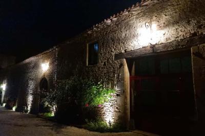 Miniature Location salle Cezais (Vendée) - Château de la Cressonnière #28 Un homme debout, bras ouverts, s'exprime devant un mur en pierre, avec une chaise en bois à côté de lui.