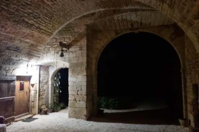 Miniature Location salle Cezais (Vendée) - Château de la Cressonnière #29 Un homme debout, bras ouverts, s'exprime devant un mur en pierre, avec une chaise en bois à côté de lui.