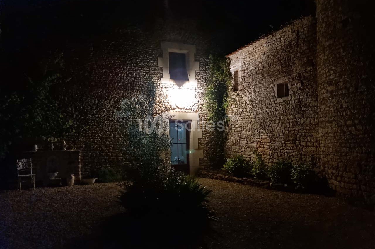 Façade en pierre éclairée de nuit, avec une porte vitrée et des plantes au premier plan.