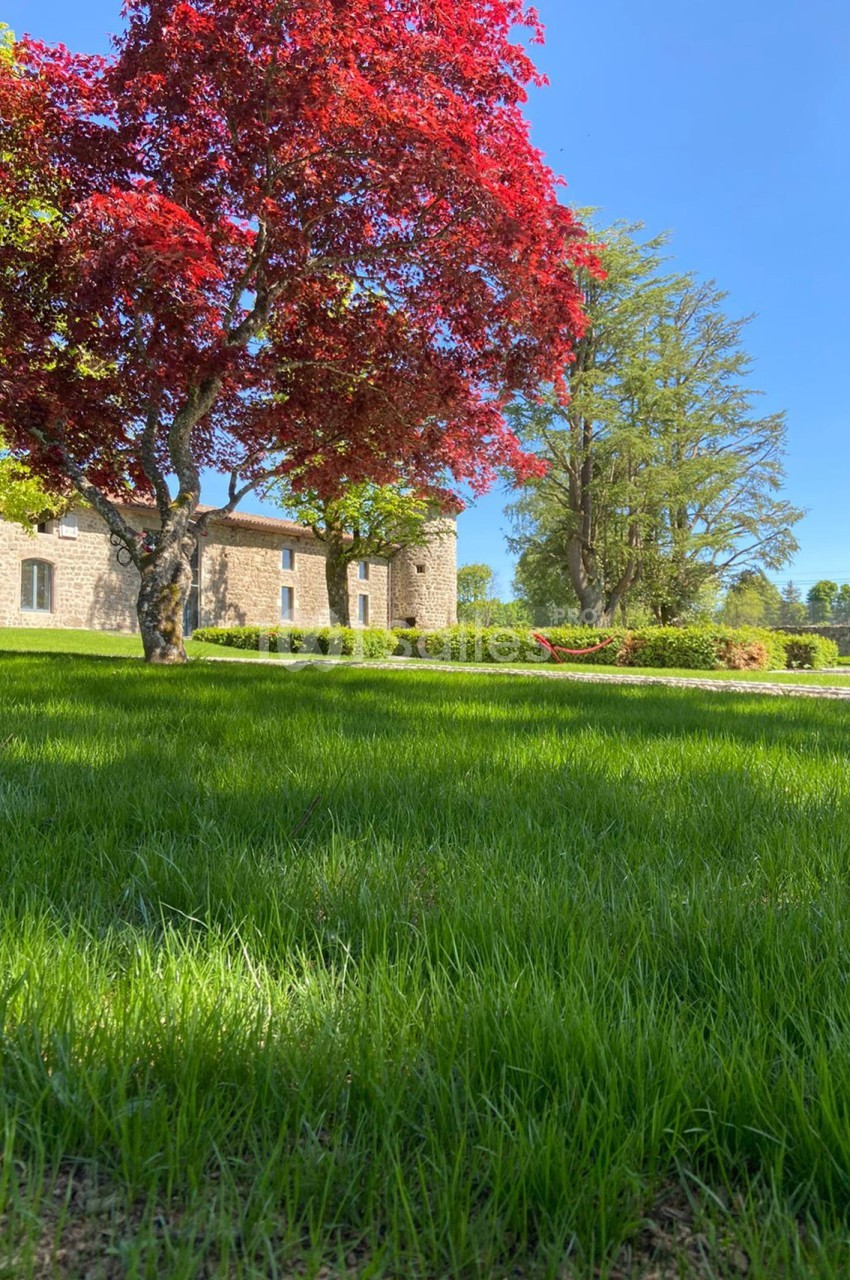 Domaine de la Diligence - galerie - photo 3