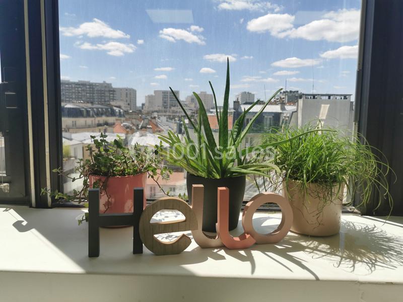 Trois plantes en pot posées sur un rebord de fenêtre, avec des lettres formant ’Hello’ devant, vue sur des immeubles.