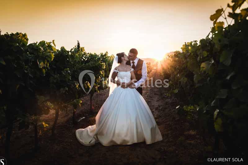 Un couple en tenue de mariage s'enlace dans un vignoble au coucher du soleil.