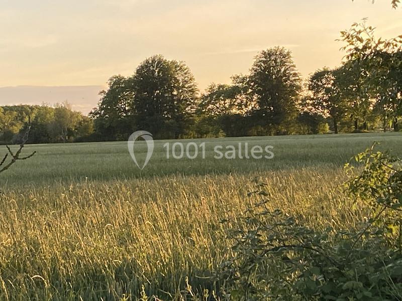 Orangerie des Demoiselles - galerie - photo 10